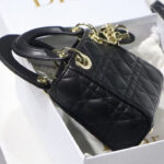 Christian Dior Micro Lady Dior Bag